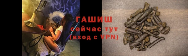прущие грибы Медногорск