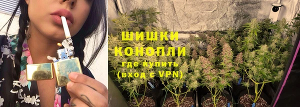 индика Алзамай