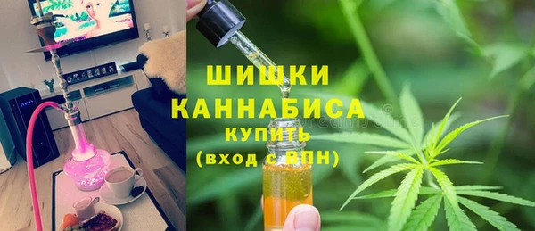 индика Алзамай