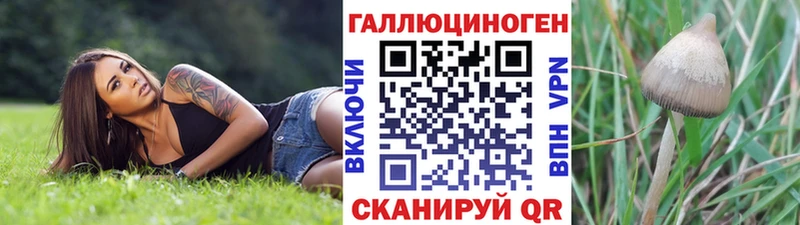 Галлюциногенные грибы GOLDEN TEACHER  Черкесск 